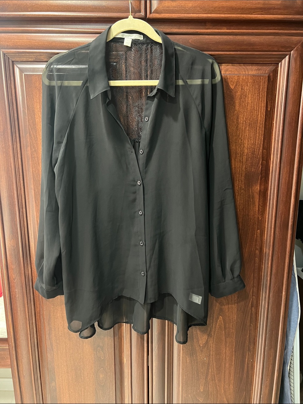 Sheer Black Button-Up Blouse - Women's Top